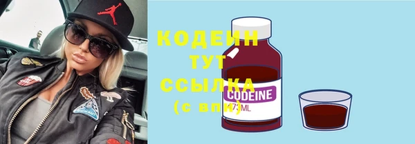 соль ск Нея