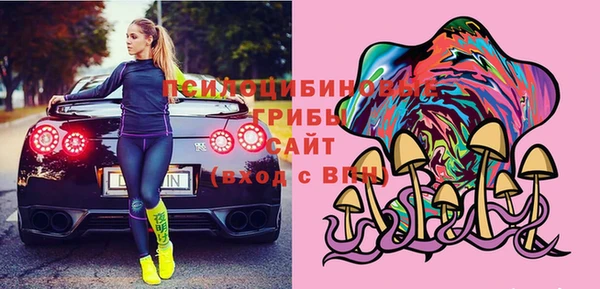 соль ск Нея
