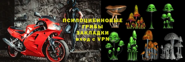 соль ск Нея